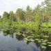 Lake Paynskoye