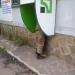 Privatbank ATM