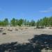 Руины строевого плаца в городе Краснокаменск