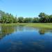 Bolshoy Lazenkovsky Pond