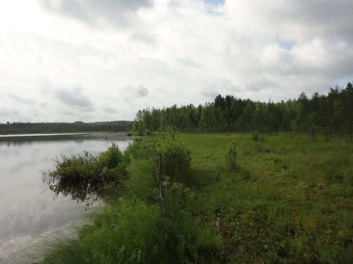 Линёво Ивановская область