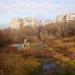 Алчев овраг в городе Лыткарино