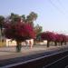 Palej Railway Station