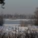 Заельцовский бор в городе Новосибирск