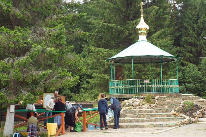 Оковецкий источник Тверская область