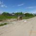 Помойка в городе Спасск-Рязанский