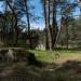 Park Narodowy Mierzei Kurońskiej