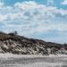 Curonian Spit National Park (Russia)