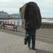 Monument to the Unknown Bureaucrat in Reykjavik city