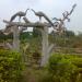 Illambazar Park