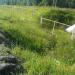 Culvert