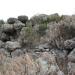 Nuraghe Brundette