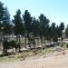 Cementerio Municipal en la ciudad de San Carlos de Bariloche