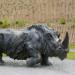 Sculptures of woolly rhinoceros in Khanty-Mansiysk city