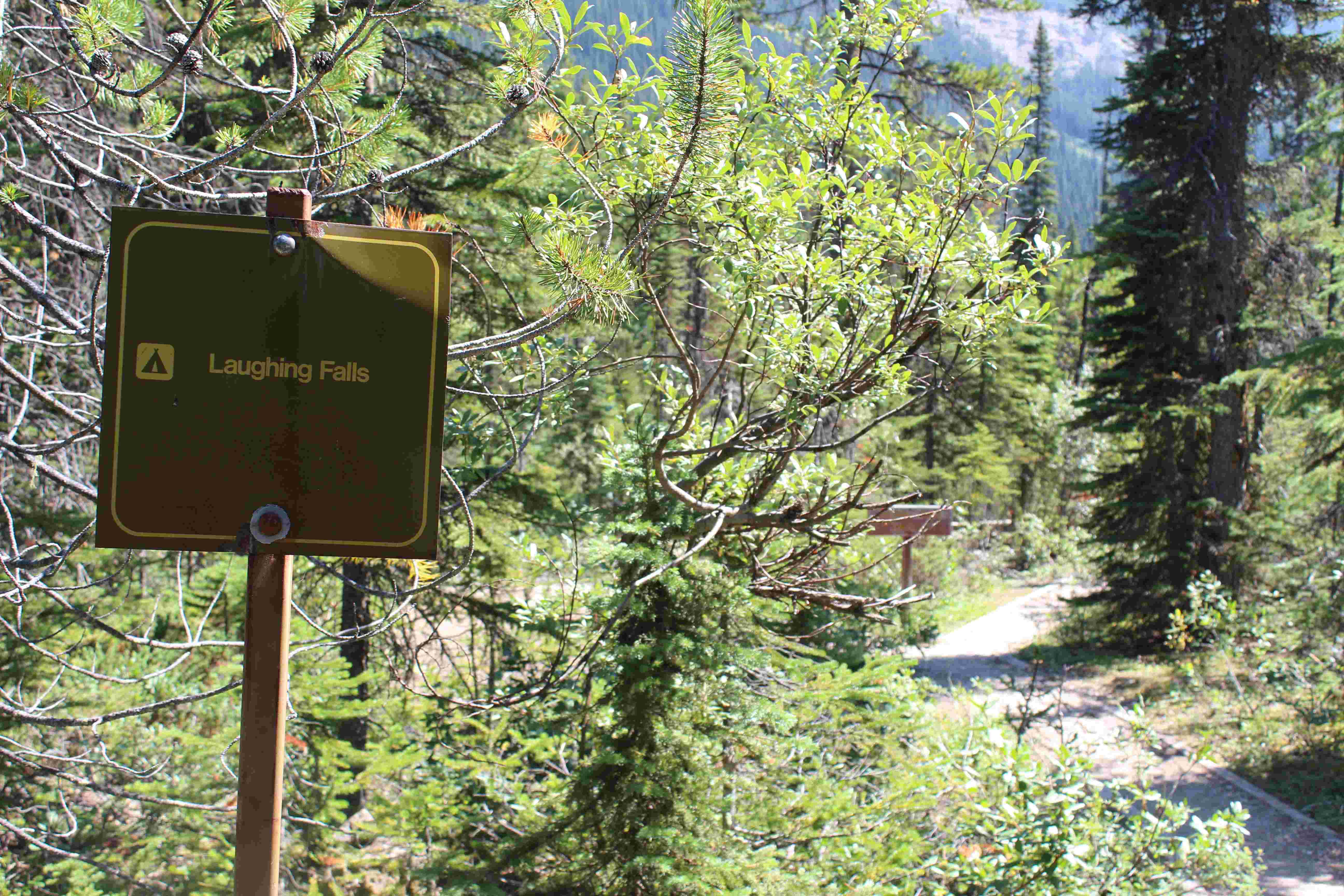 Laughing Falls Campground