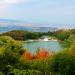 Черепашье озеро в городе Тбилиси