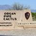 Organ Pipe Cactus National Monument