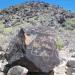 Petroglyph National Monument