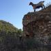 The Crusaders Castle in Fethiye city