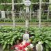 Scout's memorial in Warsaw city