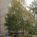 ул. Куйбышева, 54 в городе Владимир