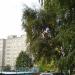 ул. Жуковского, 20 в городе Владимир