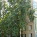 ул. Суворова, 11 в городе Владимир