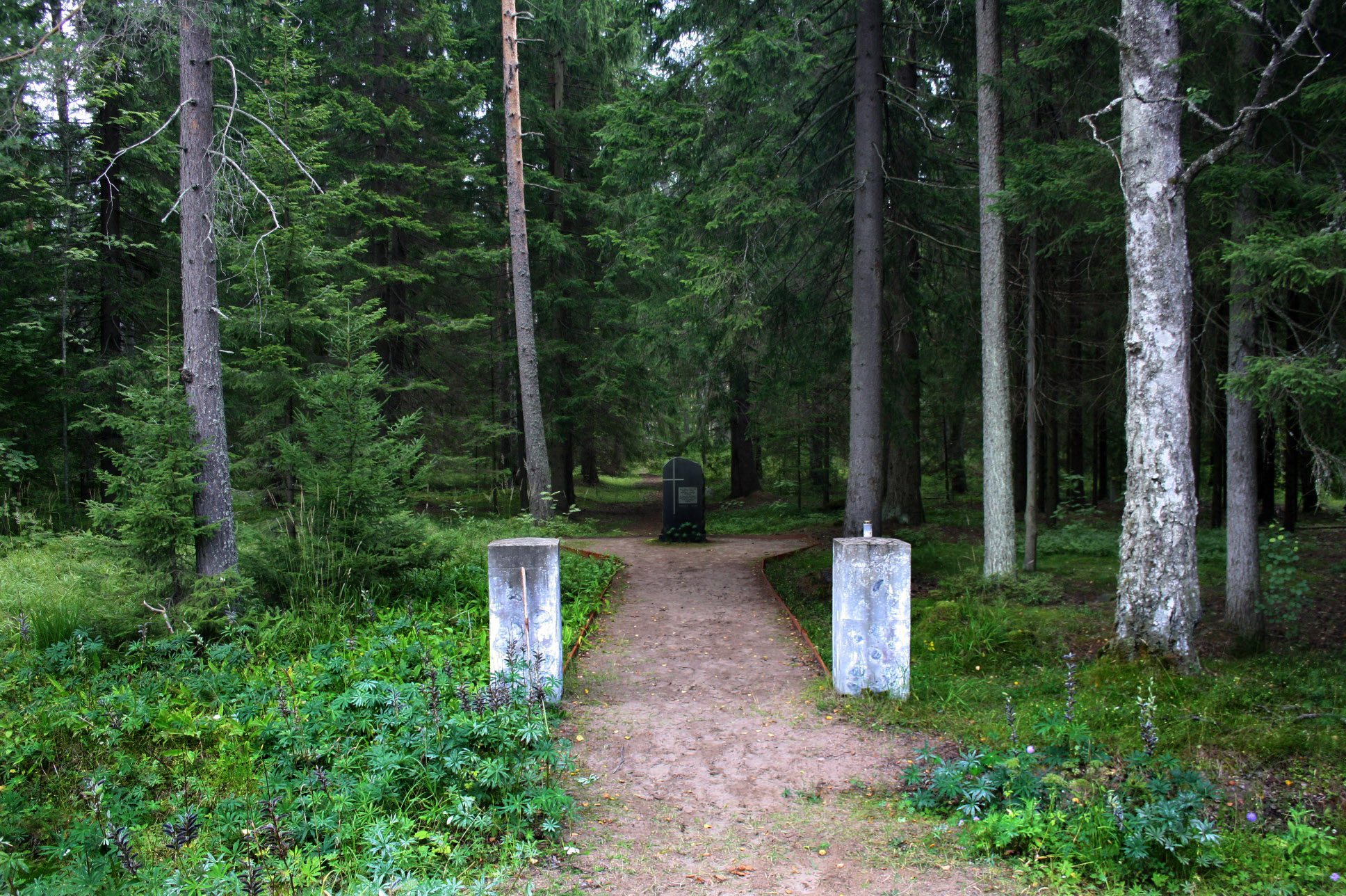 Кладбище в Комарово