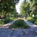 Salhirka Park, Botanical Gardens in Simferopol city
