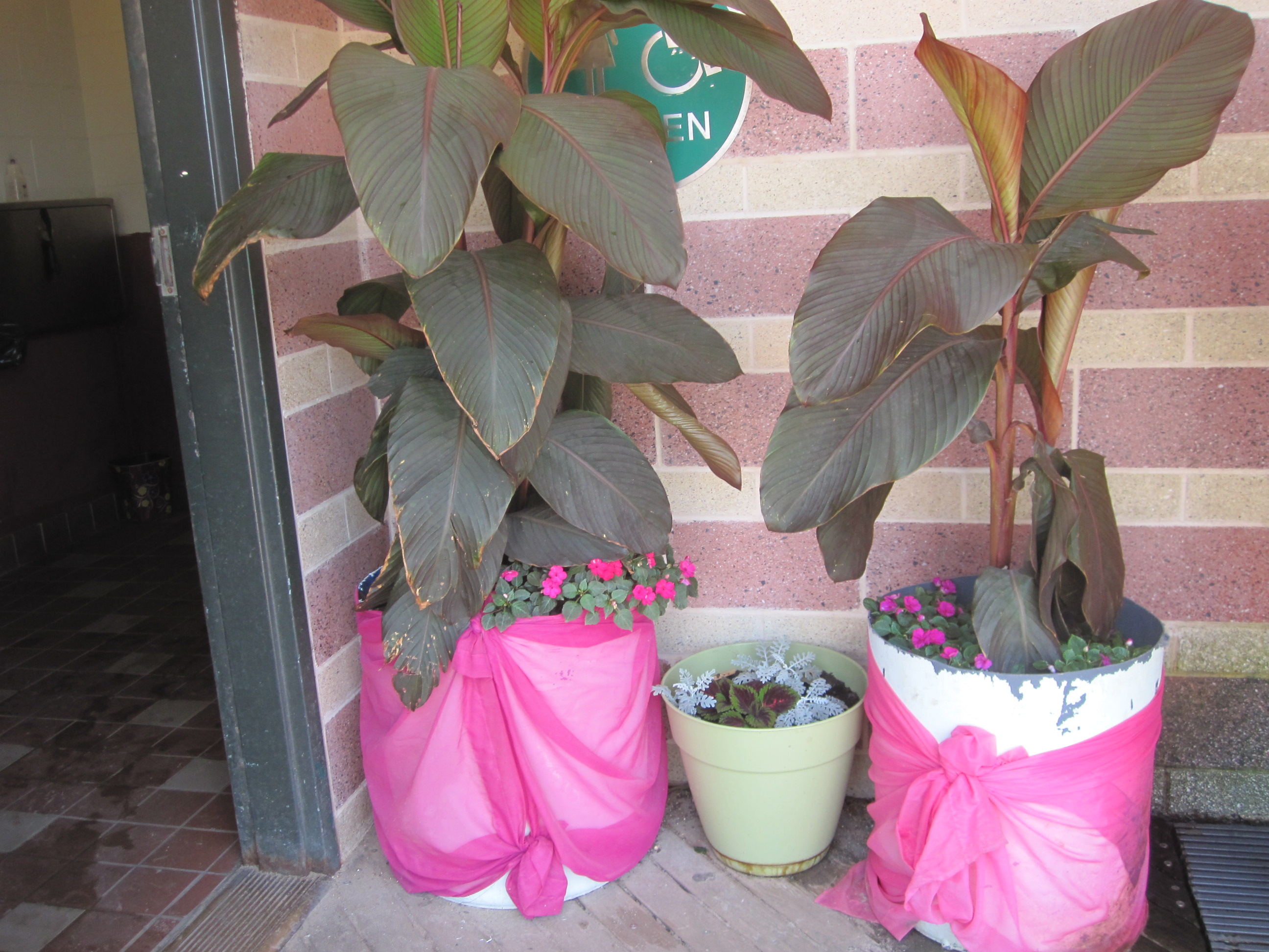 Public Restrooms New York City, New York