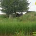 Bunker di stoccaggio sul fiume Peene