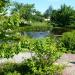 Teich und Teichlandschaft