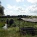 Pond