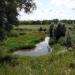 Pond