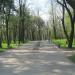 ПКиО им. Т. Г. Шевченко в городе Светловодск