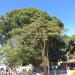 Bom Jesus Square in Rio de Janeiro city