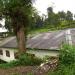 Saraswati Girl's School, Mungpoo in Mungpoo city