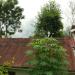CNI Church, Mugpoo in Mungpoo city