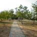 Парк «Ореховая роща» в городе Анапа