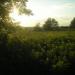 Byron View Park in London, Ontario city