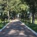 Аллея героев (ru) in Opoczka city