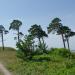 Руины командного пункта батареи в городе Лиепая
