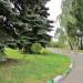 Газон в городе Красногорск