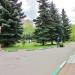 Газон в городе Красногорск