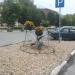 Цветник в городе Павловский Посад