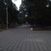 Парк Строителей в городе Ростов-на-Дону