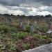 New jewish cemetery