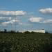 Antenna farm (Radio Antenna Field)