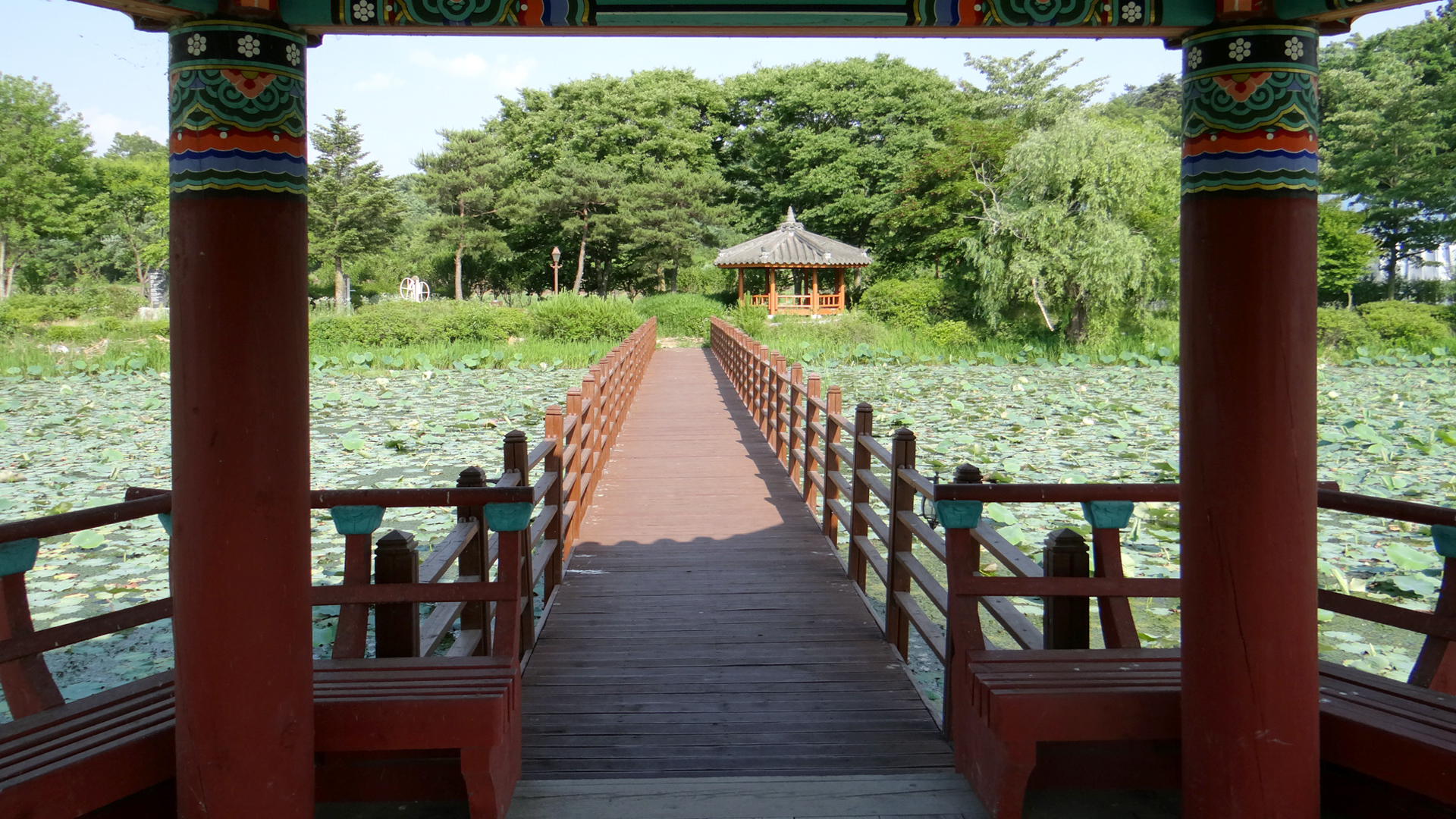 Santaek Lotus Flowers Park
