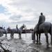 The Rising Tide Sculpture